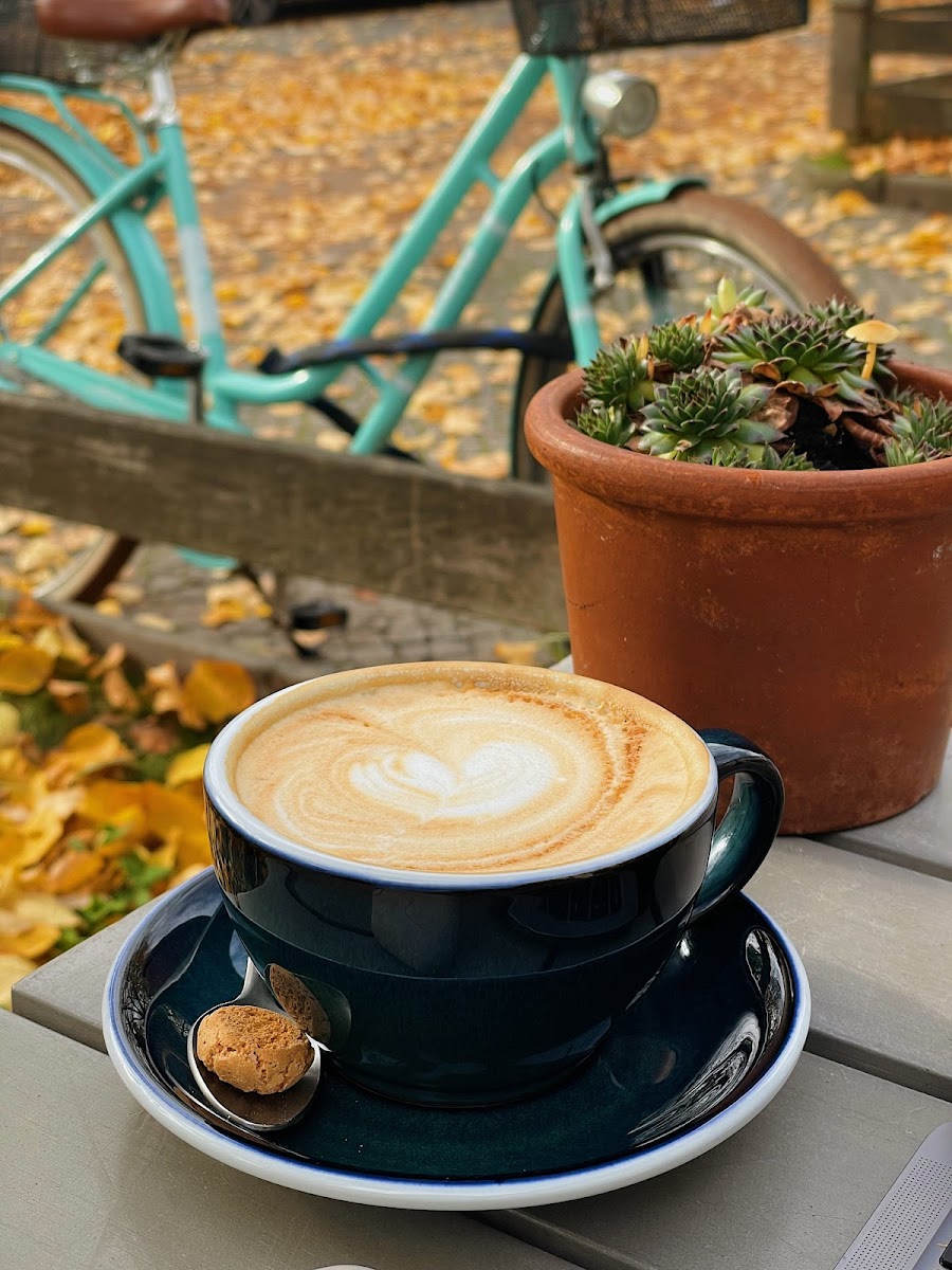 Bacis Coffee Photos 2